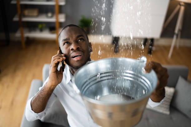 Best Water damage restoration near me  in Belle Mead, NJ