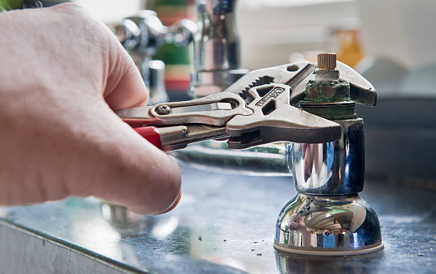 Best Flood damage cleanup  in Belle Mead, NJ
