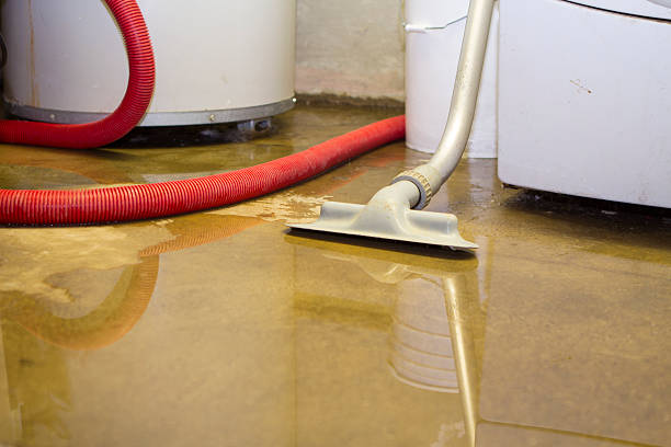 Best 24-hour water damage restoration  in Belle Mead, NJ