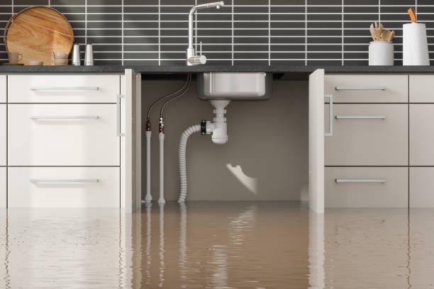 Best Basement water damage restoration  in Belle Mead, NJ